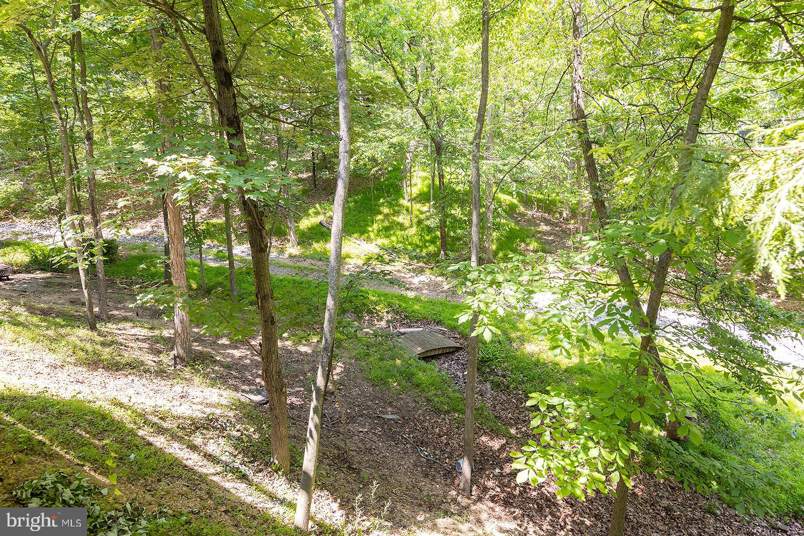 210 Greenbriar Circle Cross Junction, VA 22625 - Photo 4 of 45 Surrounded by trees for maximum privacy