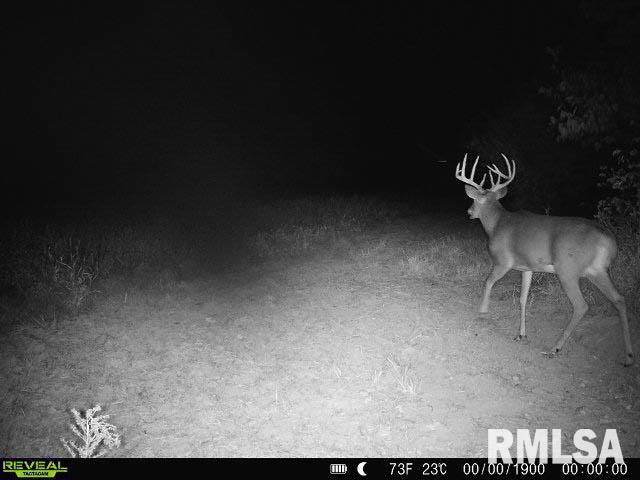 Rr Flower Creek Road Plymouth, IL 62367 - Photo 26 of 30
