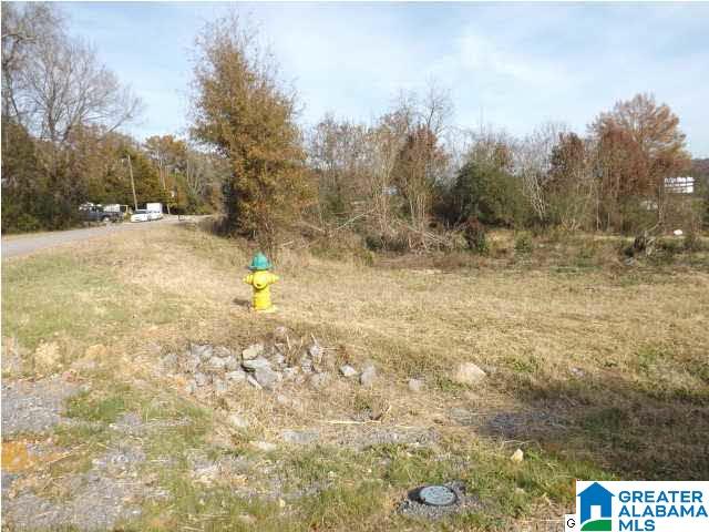 0 Highway 75, Unit 7 Oneonta, AL 35121 - Photo 3 of 9