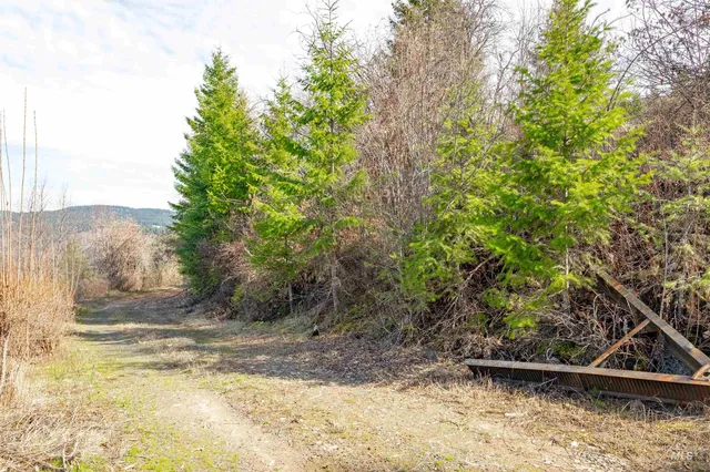 $225,000 | 751 Wilderness Drive, Orofino, ID 83544