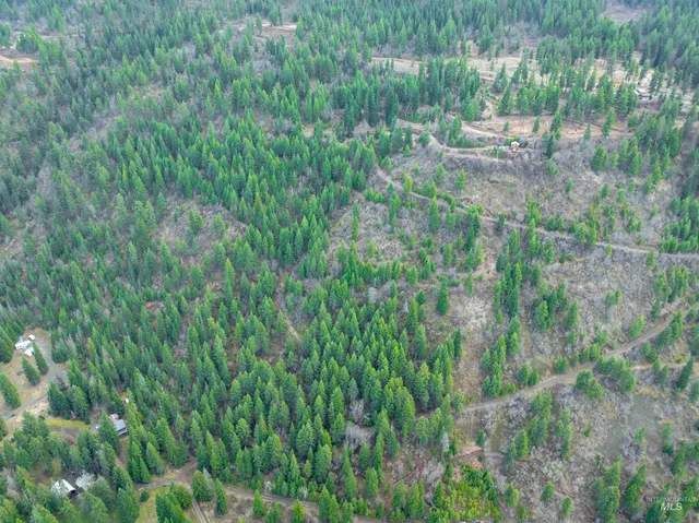 $225,000 | 751 Wilderness Drive, Orofino, ID 83544