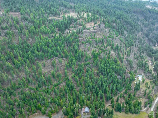 $225,000 | 751 Wilderness Drive, Orofino, ID 83544