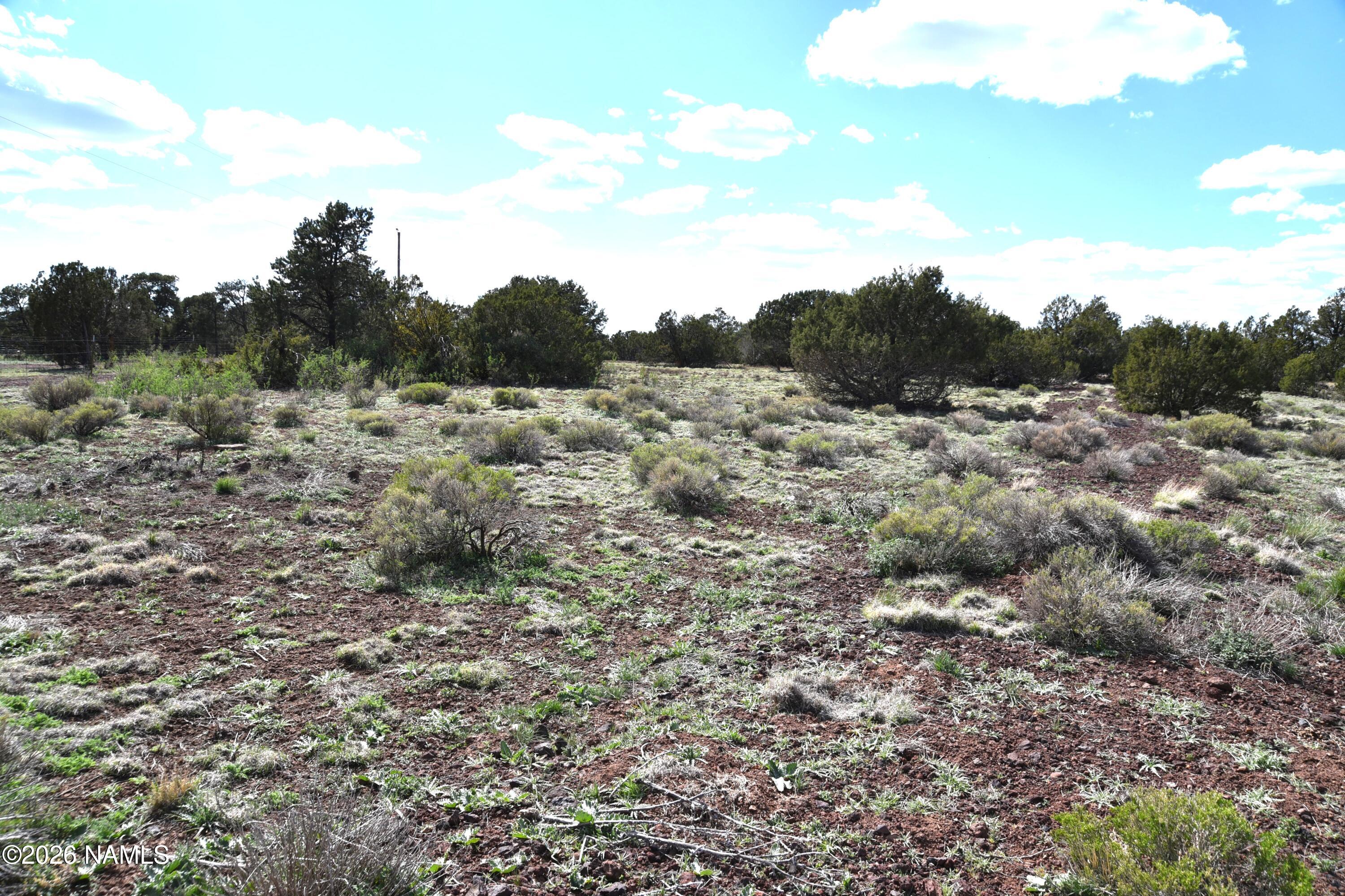 20203017 Griffin Road Williams, AZ 86046 - Photo 11 of 15 DSC_5079