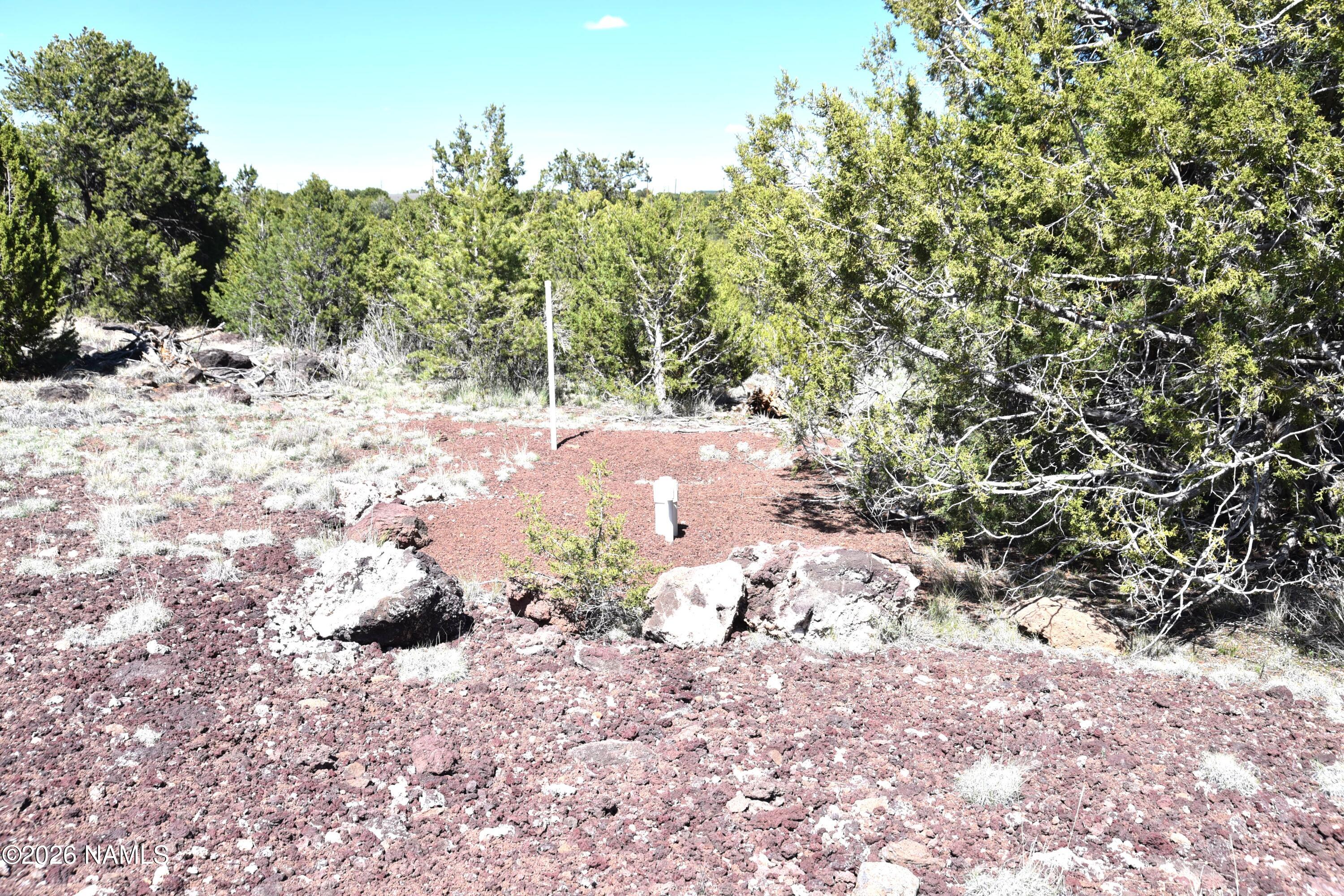 20203017 Griffin Road Williams, AZ 86046 - Photo 3 of 15 DSC_5071