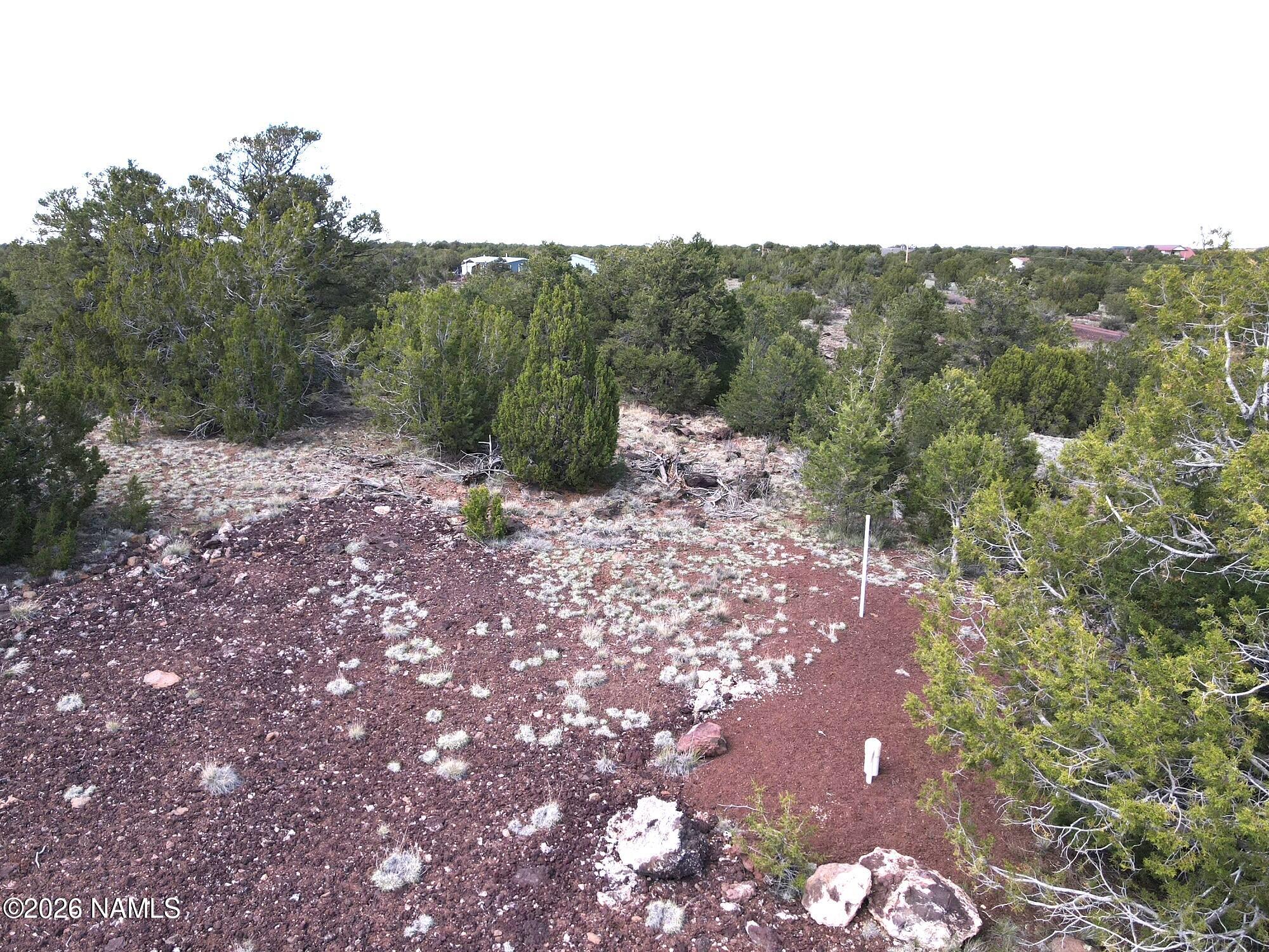 20203017 Griffin Road Williams, AZ 86046 - Photo 4 of 15 5C967928-D09D-4BA7-B422-7717FCB6FFCA