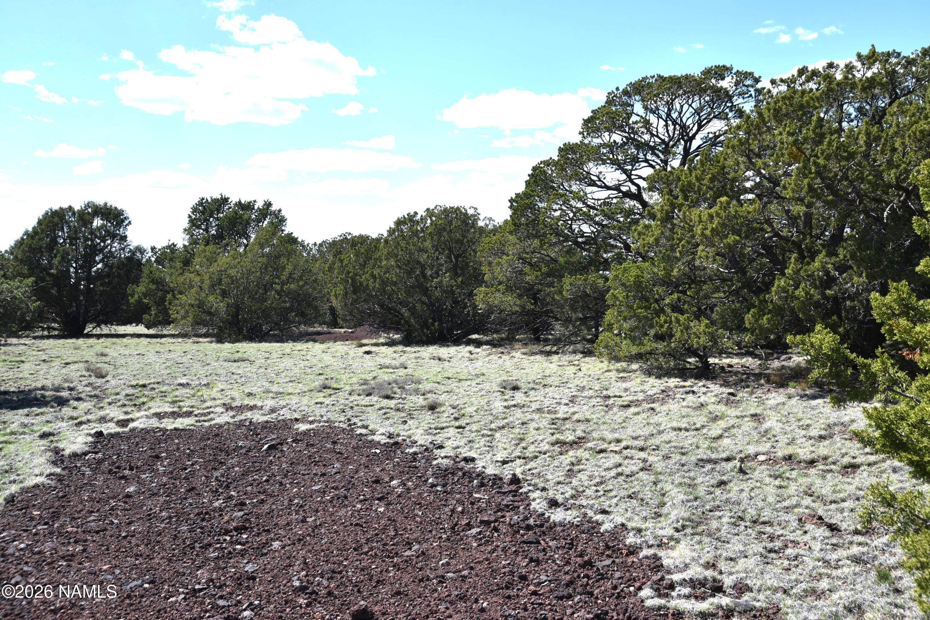 20203017 Griffin Road Williams, AZ 86046 - Photo 5 of 15 DSC_5072