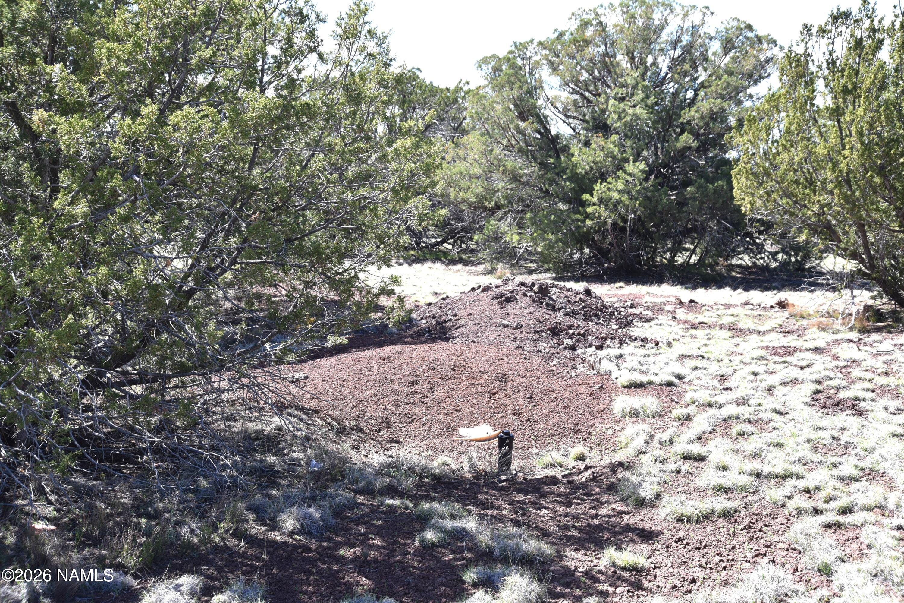 20203017 Griffin Road Williams, AZ 86046 - Photo 6 of 15 DSC_5073