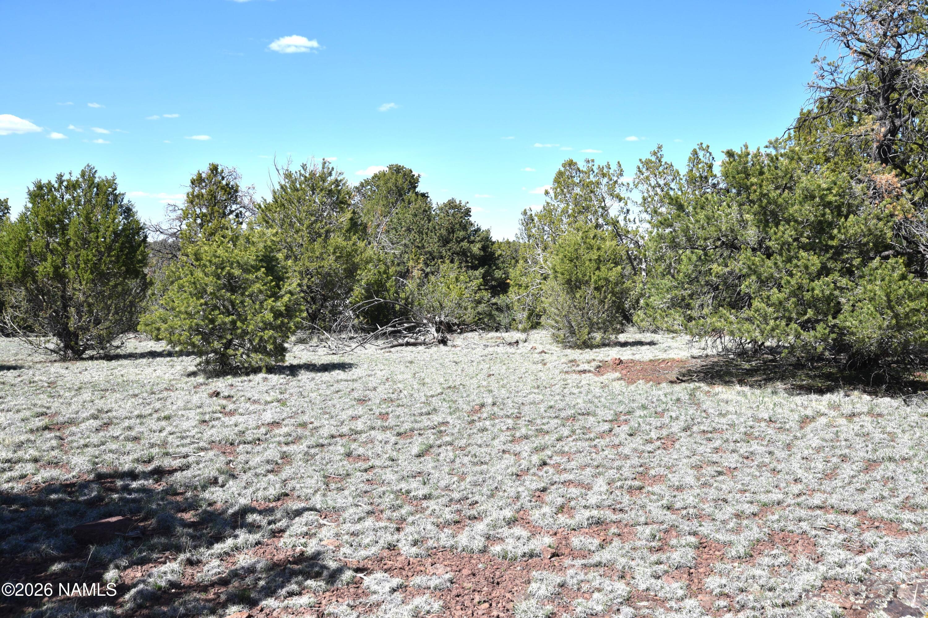 20203017 Griffin Road Williams, AZ 86046 - Photo 7 of 15 DSC_5074