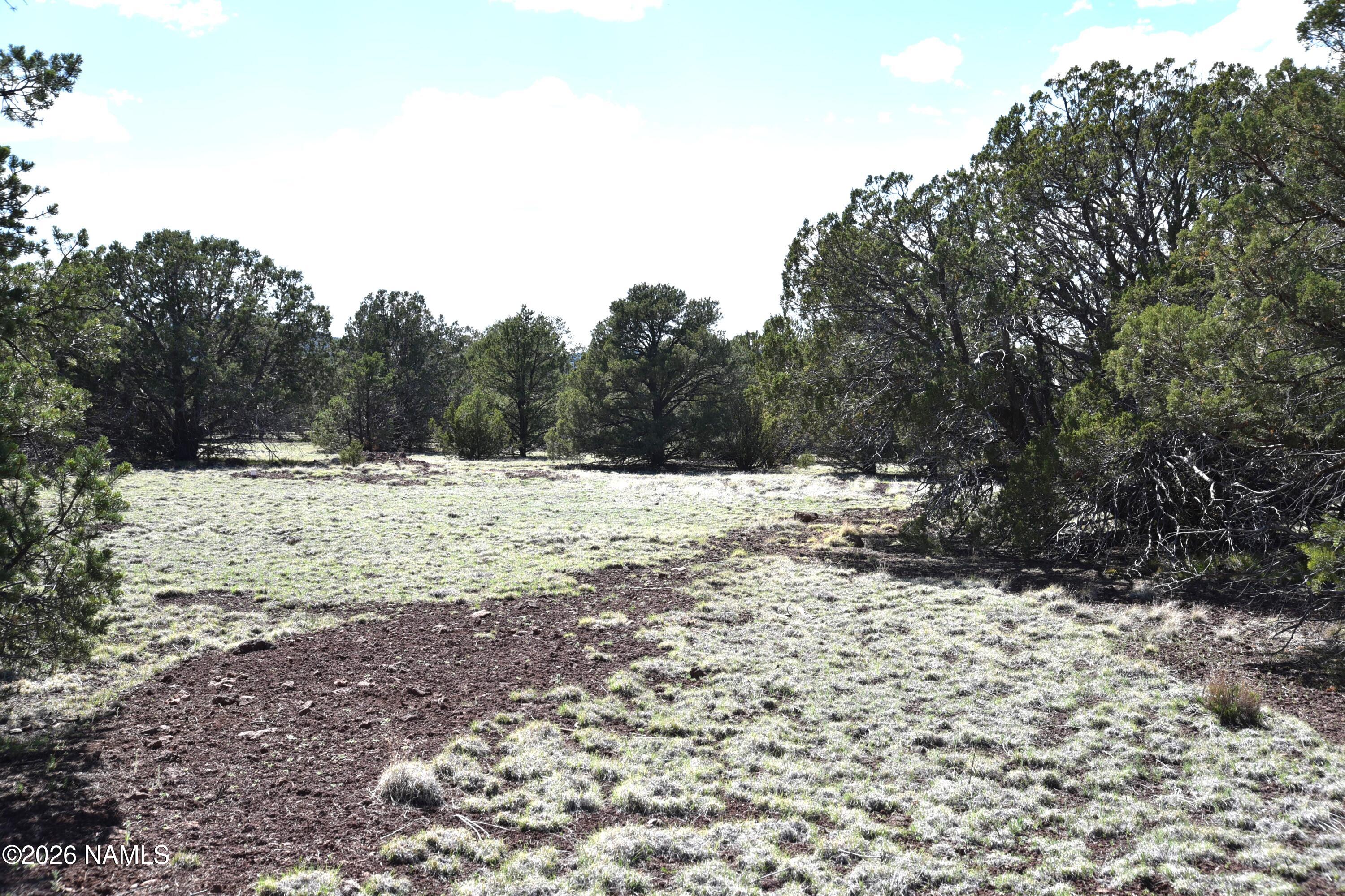 20203017 Griffin Road Williams, AZ 86046 - Photo 8 of 15 DSC_5075