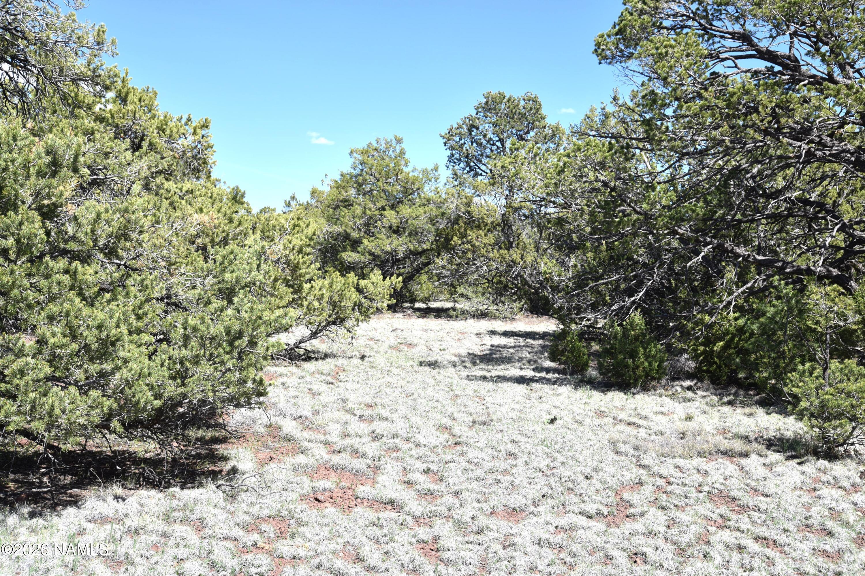 20203017 Griffin Road Williams, AZ 86046 - Photo 9 of 15 DSC_5076