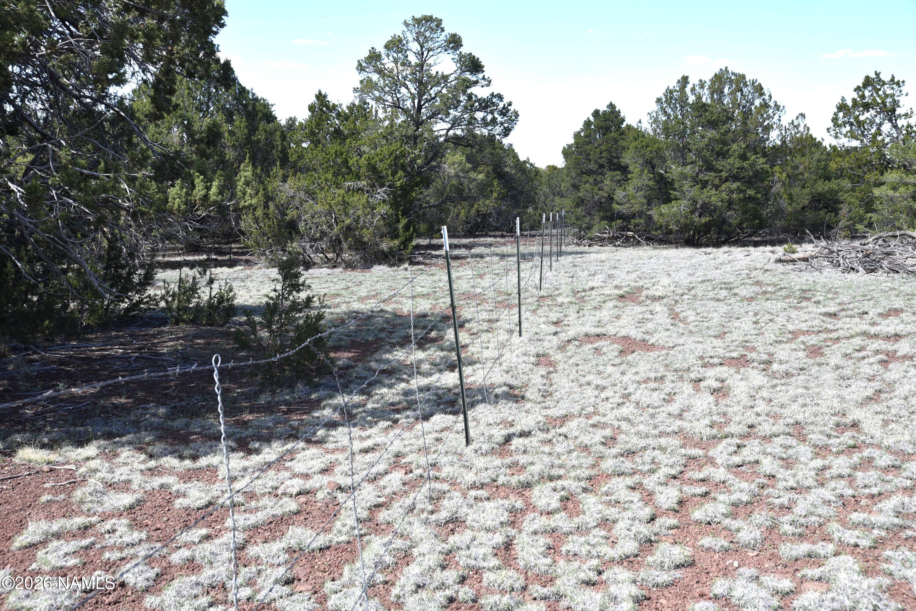 20203017 Griffin Road Williams, AZ 86046 - Photo 10 of 15 DSC_5077