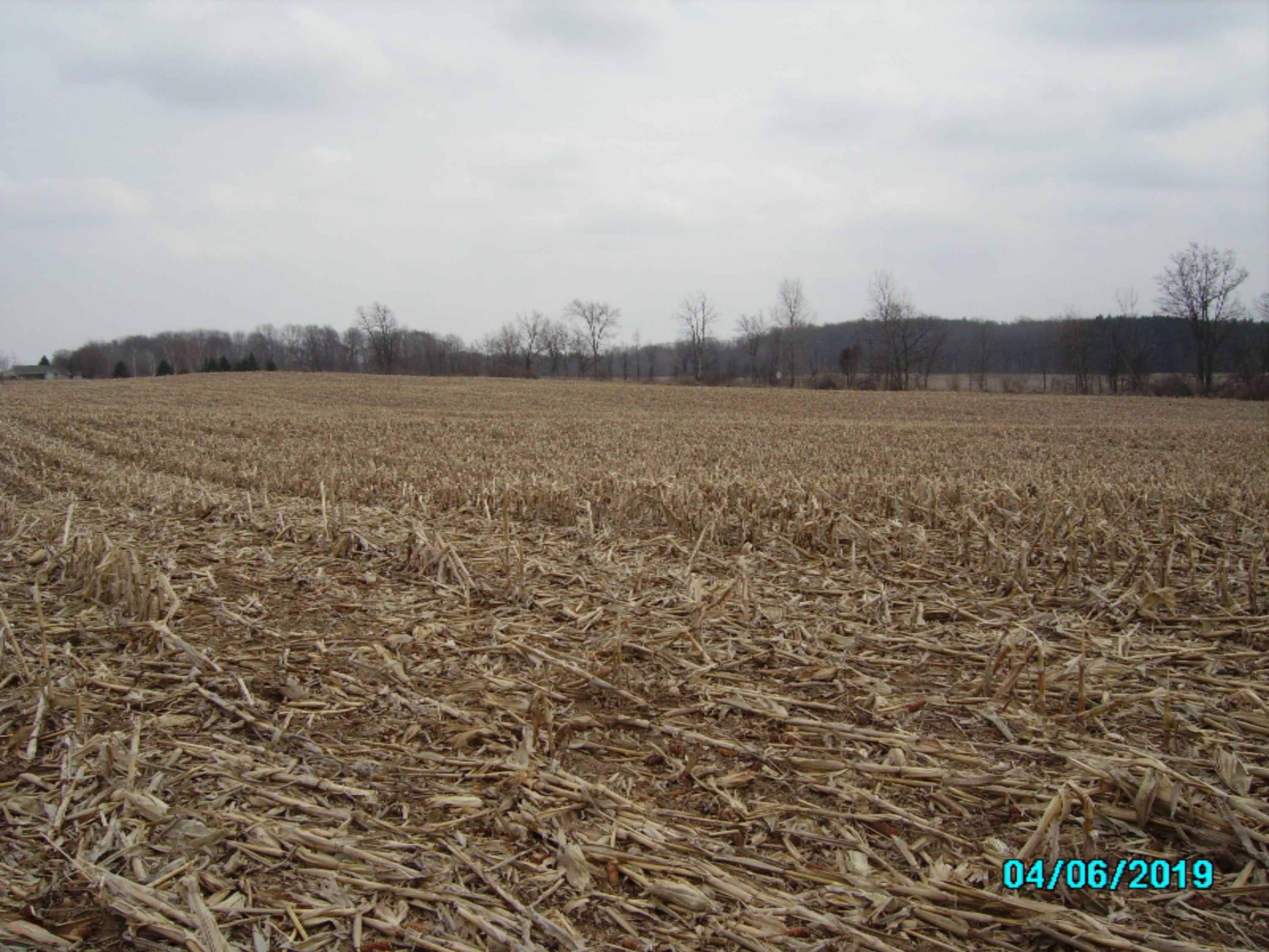 0 West Edgar Road Lakeview, MI 48850 - Photo 3 of 10 IMGP1550