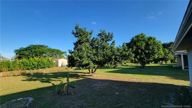 a view of a park with large trees