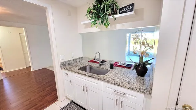 a kitchen with a sink and a potted plant