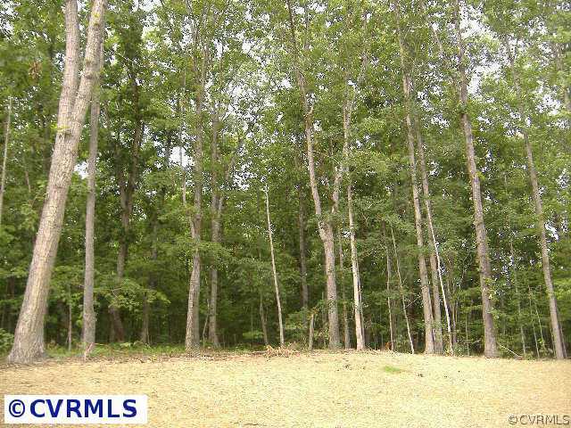 Lot 1 Turner Road Goochland, VA 23063 - Photo 3 of 5 a view of a backyard