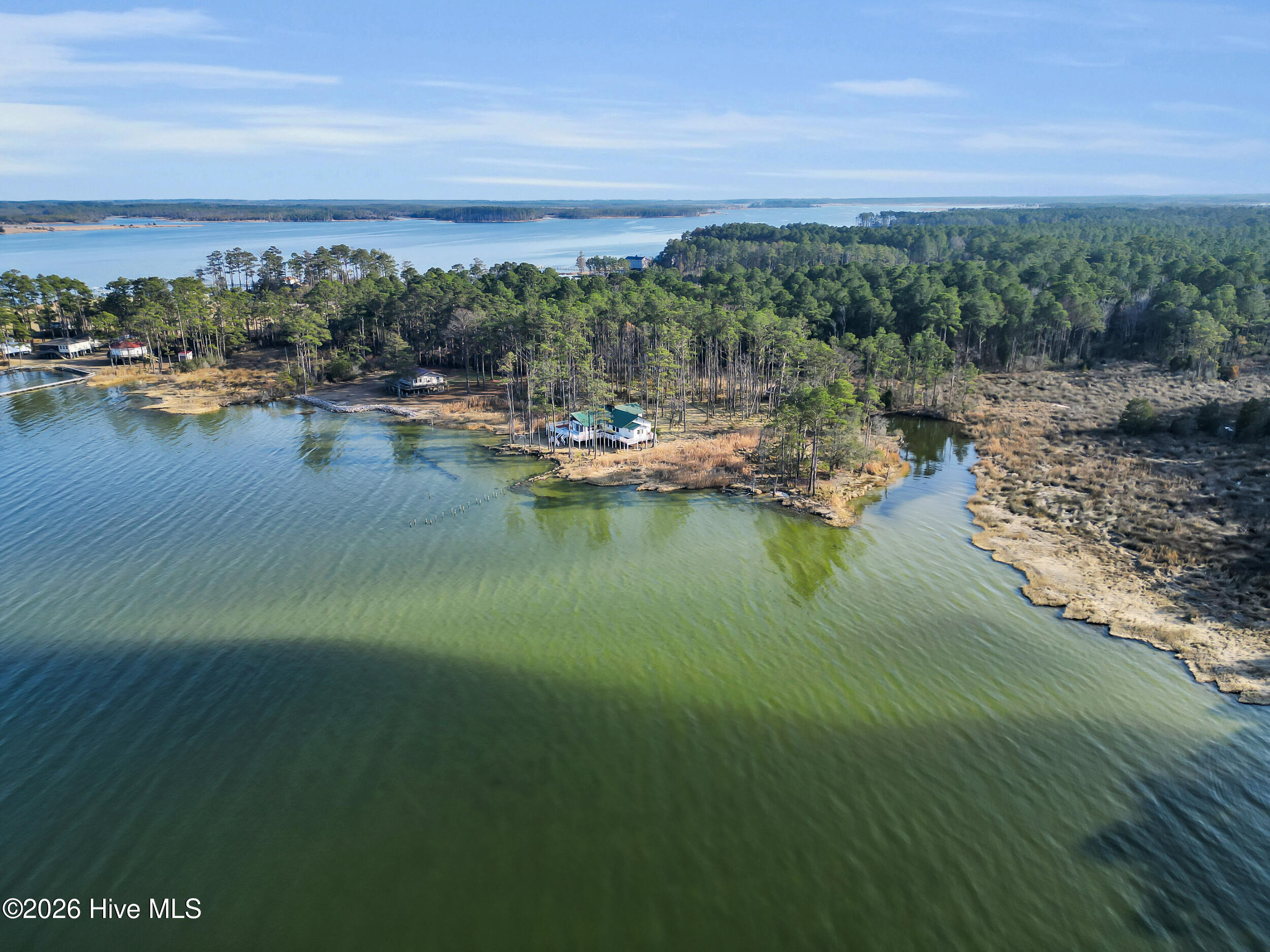 1117 Whealton Point Road Aurora, NC 27806 - Photo 31 of 33 Waterview / Aerial View