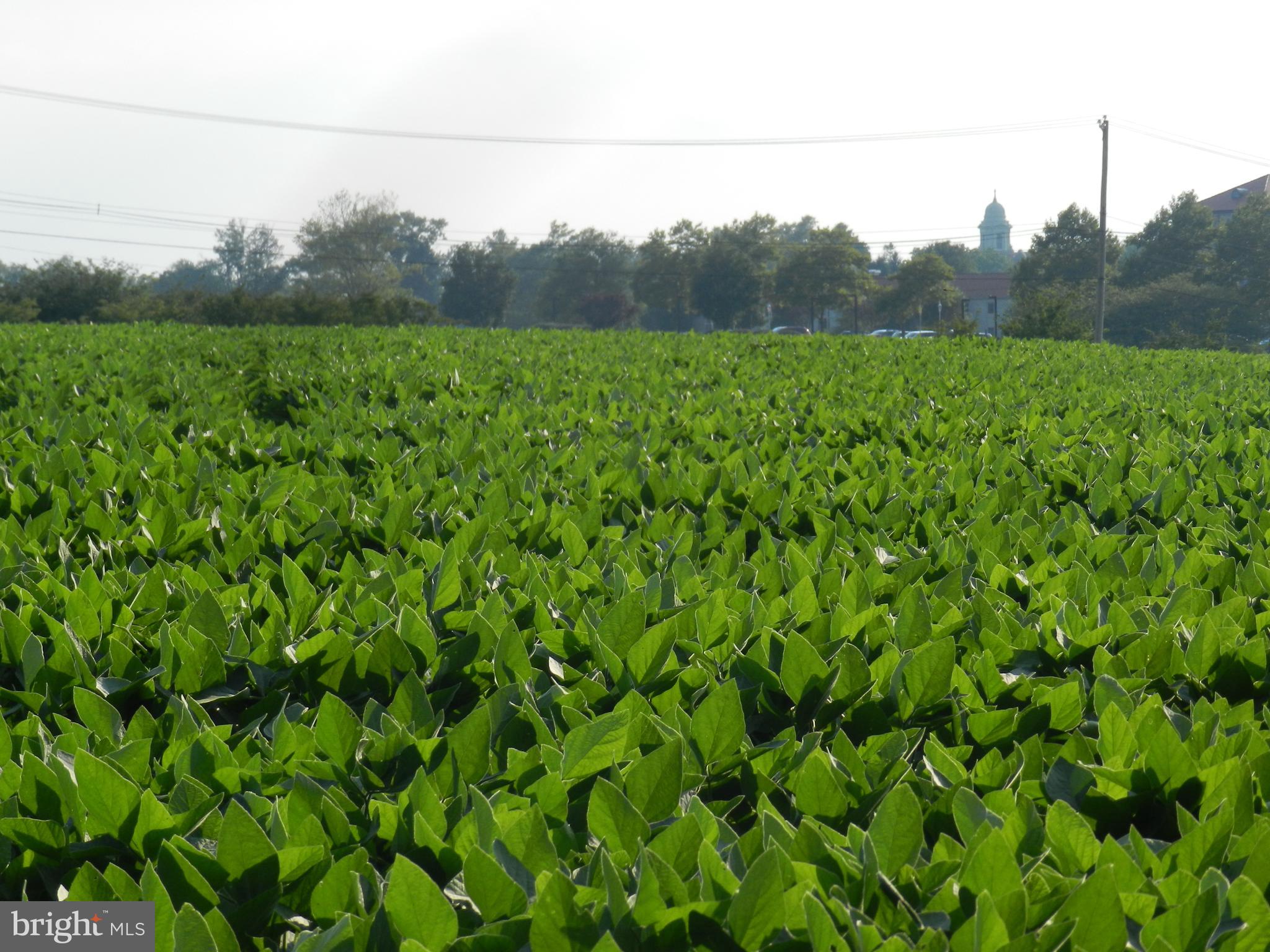 92 Sproul Road Malvern, PA 19355 - Photo 21 of 28