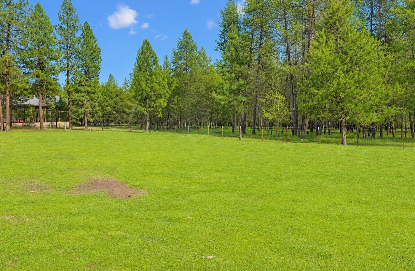 4332 Airport Way Springdale, WA 99173 - Photo 9 of 23