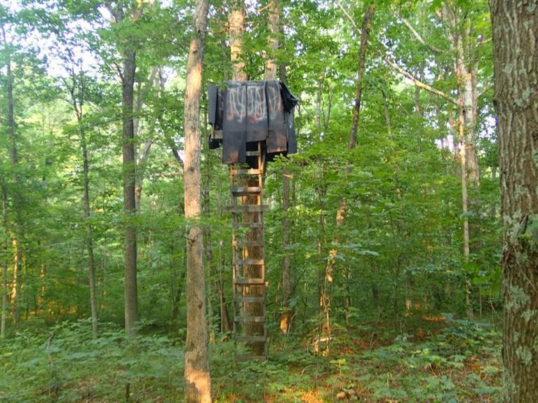 3512 Dead Timber Road California, KY 41007 - Photo 6 of 8