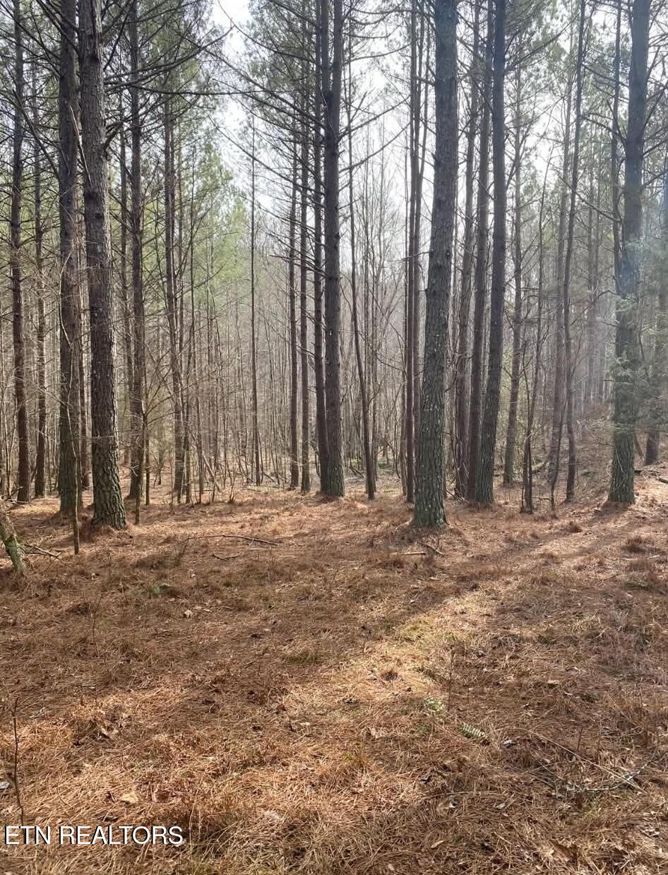 2421 Wasson Road Ten Mile, TN 37880 - Photo 7 of 25 att.Spc-9RXzdZpchNJZxMiJjnJOSpgsaqSRJLV9