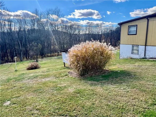 a view of a backyard