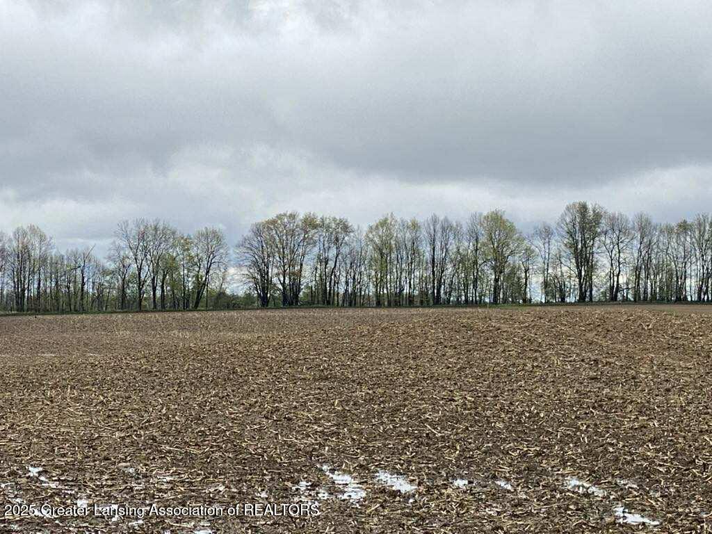 0 West Cutler Road Dewitt, MI 48820 - Photo 2 of 10 3e63ddfb-ef19-4b29-9384-8345efd3e446 - C
