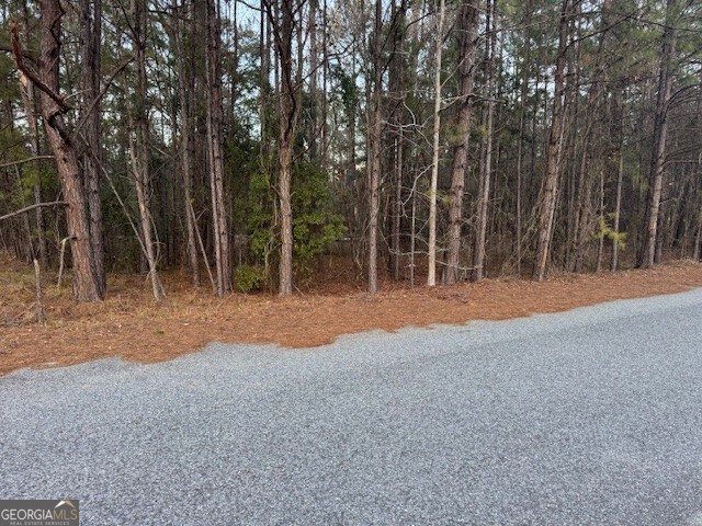 0 Pelican Cove Midway, GA 31320 - Photo 1 of 7 a backyard of a house with large trees and wooden fence