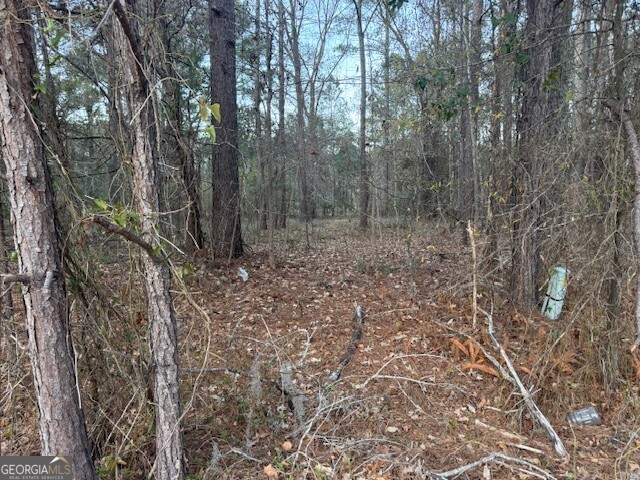 0 Pelican Cove Midway, GA 31320 - Photo 3 of 7 a view of a forest with trees in the background
