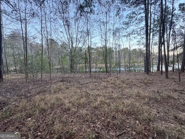 0 Pelican Cove Midway, GA 31320 - Photo 4 of 7 a view of outdoor space with green space
