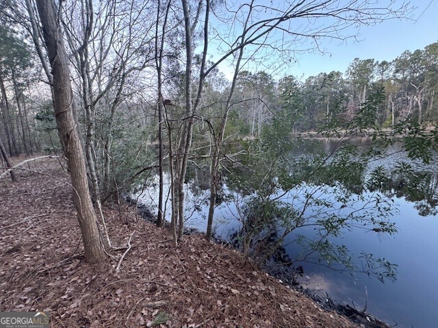 0 Pelican Cove Midway, GA 31320 - Photo 5 of 7 a view of a forest filled with trees