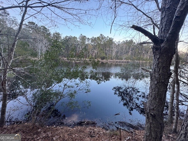 0 Pelican Cove Midway, GA 31320 - Photo 6 of 7 a view of a lake in middle of forest