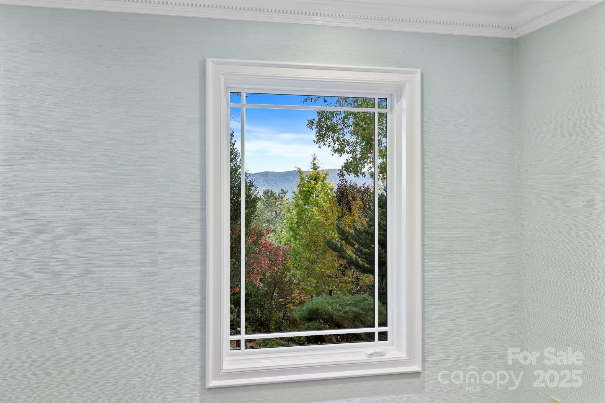 31 South Ridge Drive Hendersonville, NC 28739 - Photo 25 of 48