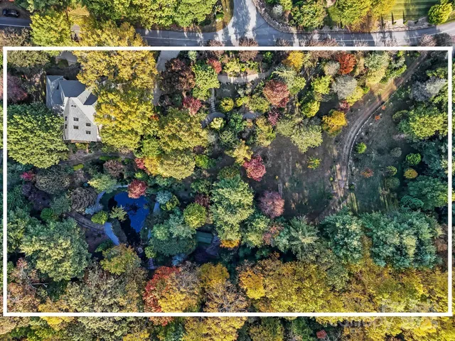 a view of backyard of the house