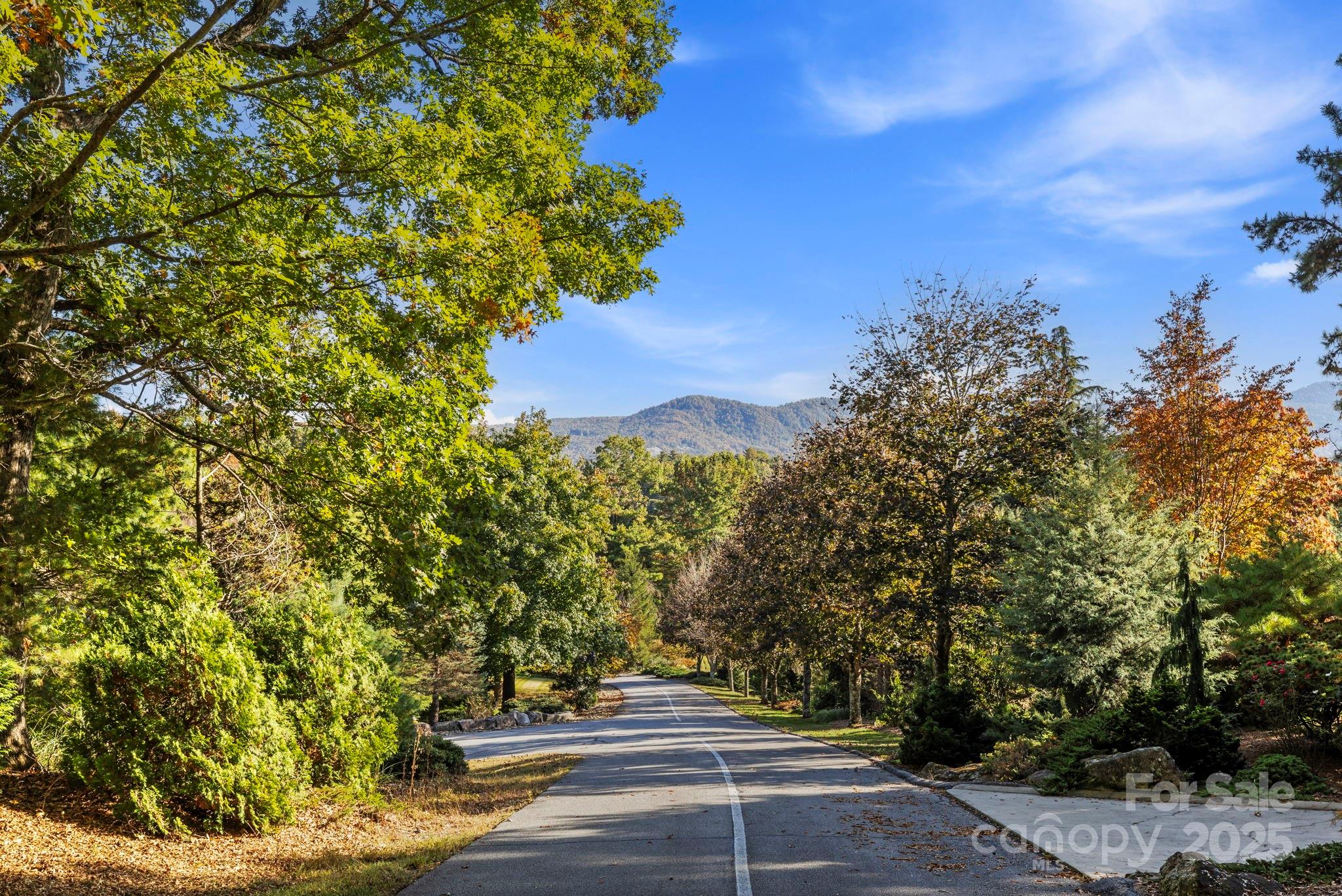 31 South Ridge Drive Hendersonville, NC 28739 - Photo 40 of 48