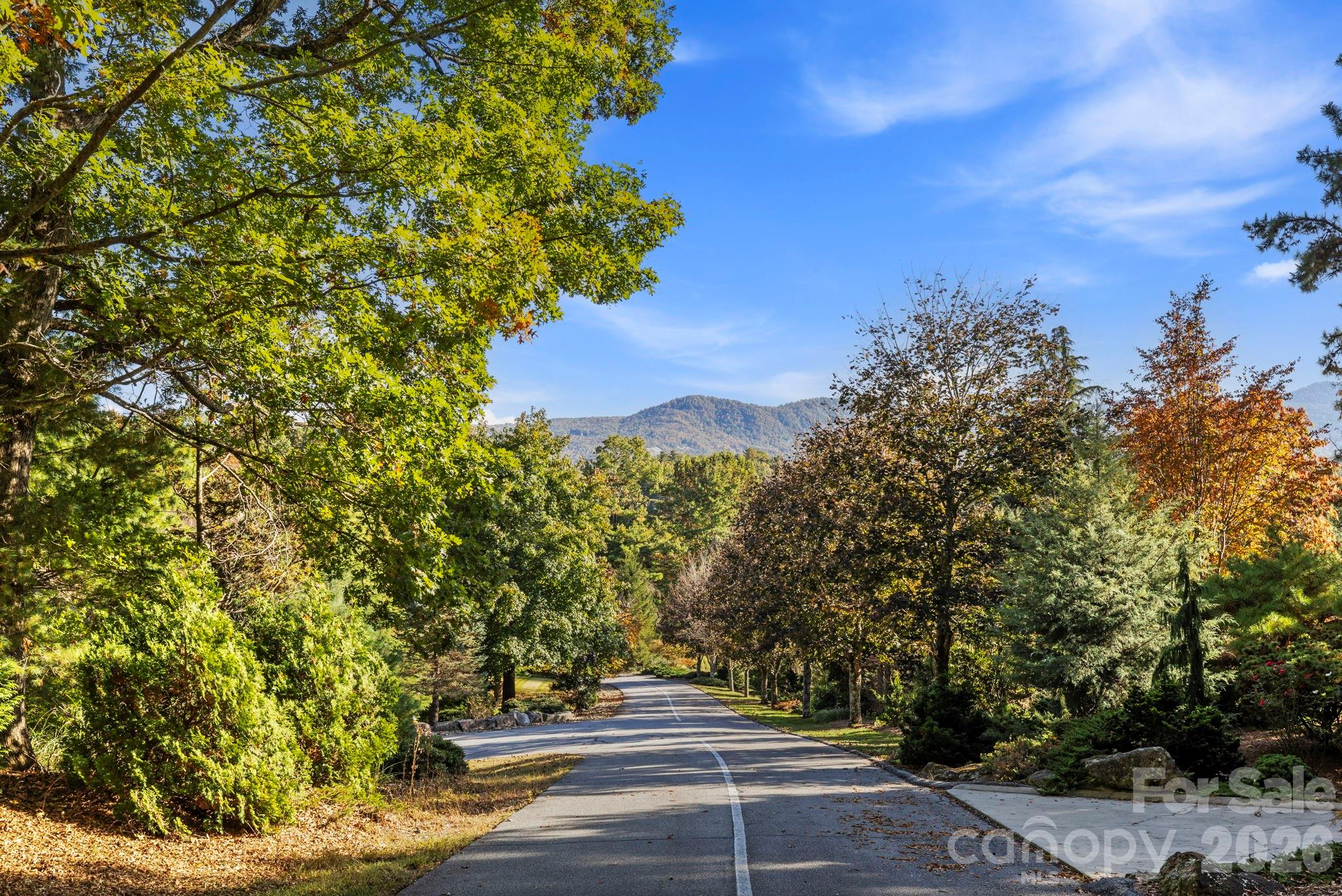 31 South Ridge Drive Hendersonville, NC 28739 - Photo 40 of 48