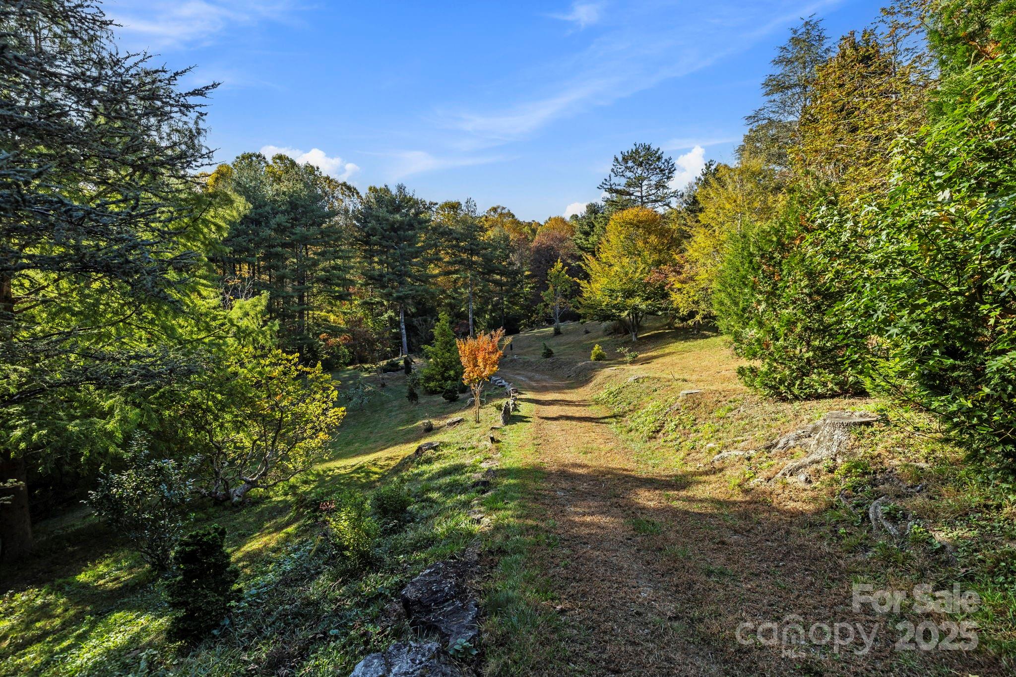 31 South Ridge Drive Hendersonville, NC 28739 - Photo 43 of 48