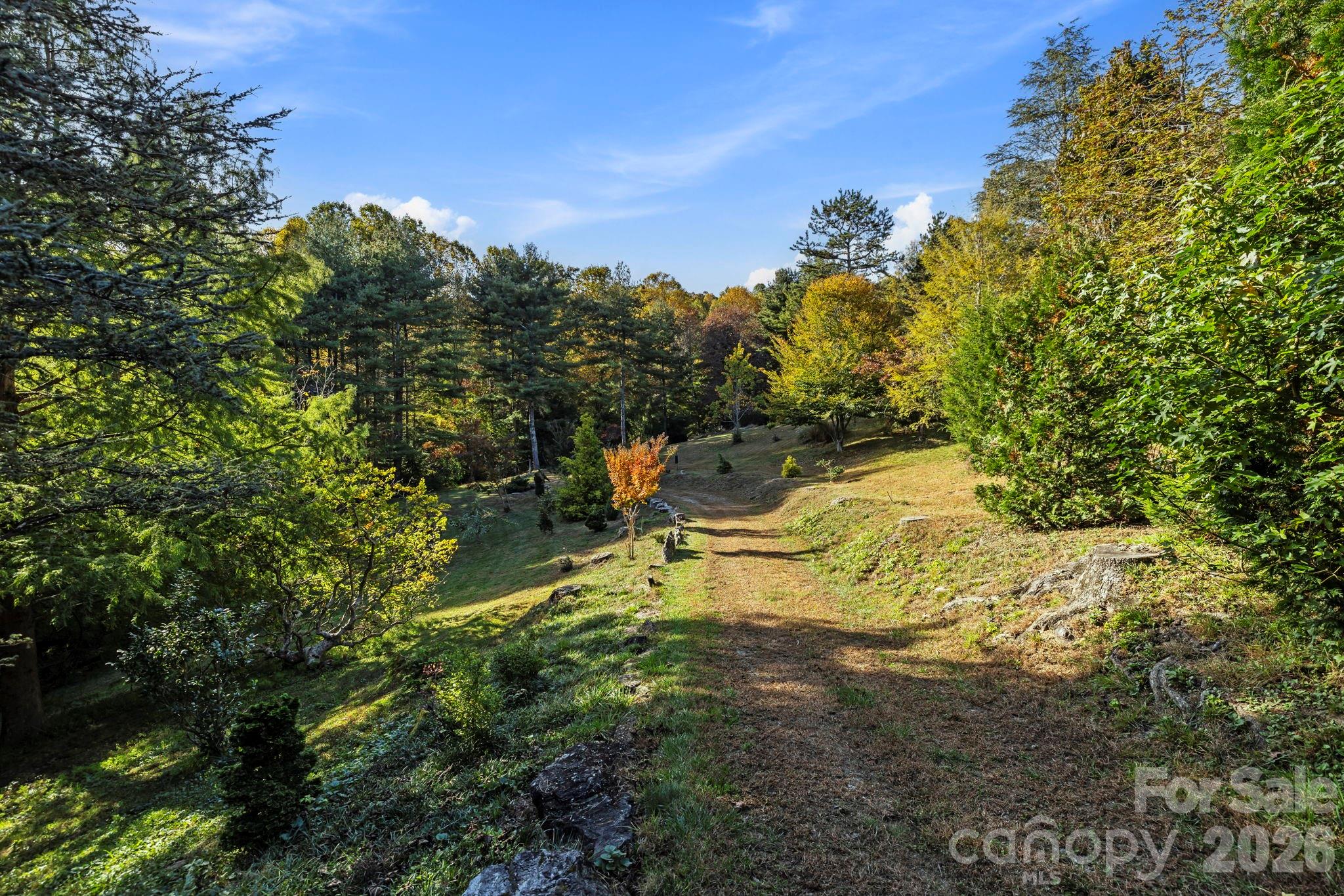 31 South Ridge Drive Hendersonville, NC 28739 - Photo 43 of 48