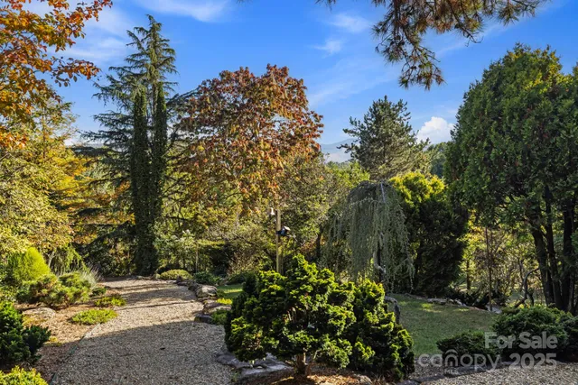 a view of a yard with plants and trees