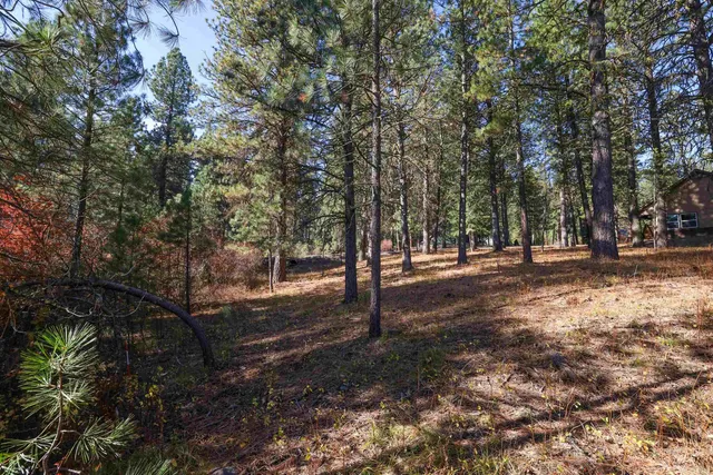 $77,900 | Tbd Columbine Drive, New Meadows, ID 83654