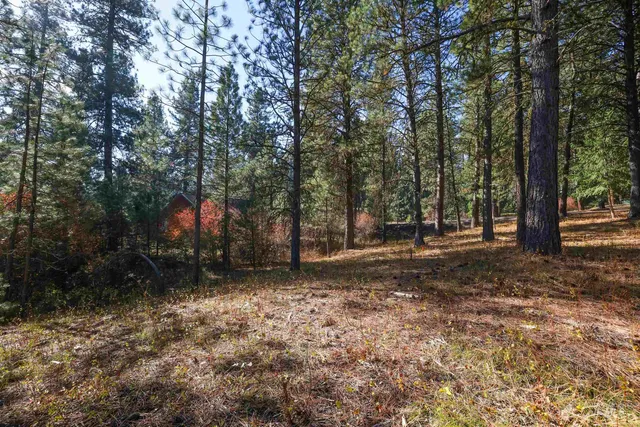 $77,900 | Tbd Columbine Drive, New Meadows, ID 83654