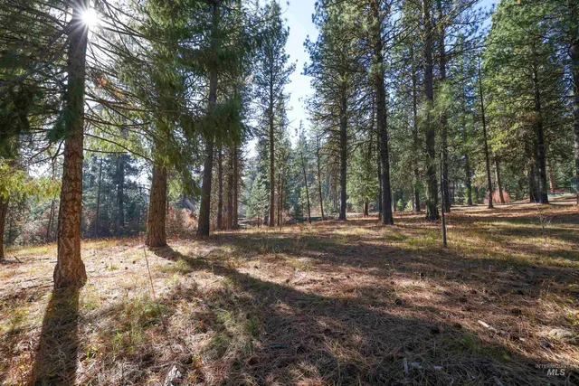 $77,900 | Tbd Columbine Drive, New Meadows, ID 83654