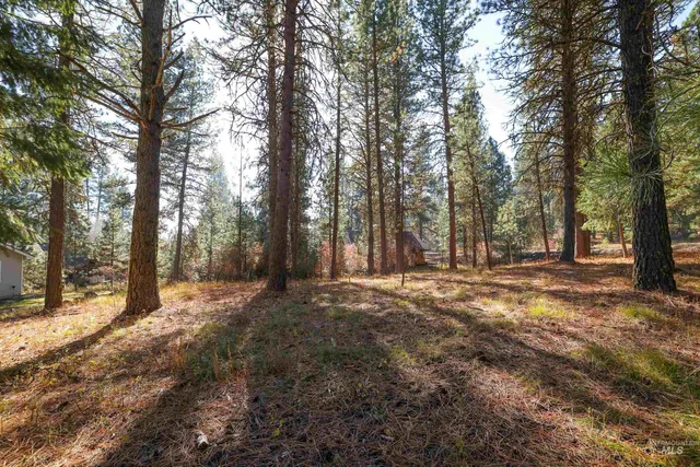 $77,900 | Tbd Columbine Drive, New Meadows, ID 83654
