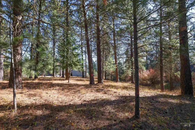 $77,900 | Tbd Columbine Drive, New Meadows, ID 83654