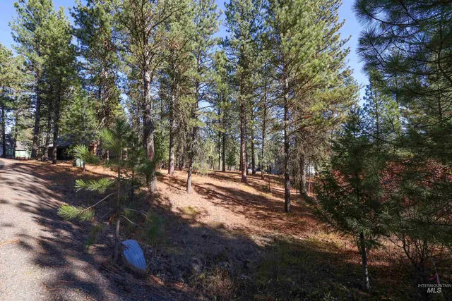 $77,900 | Tbd Columbine Drive, New Meadows, ID 83654