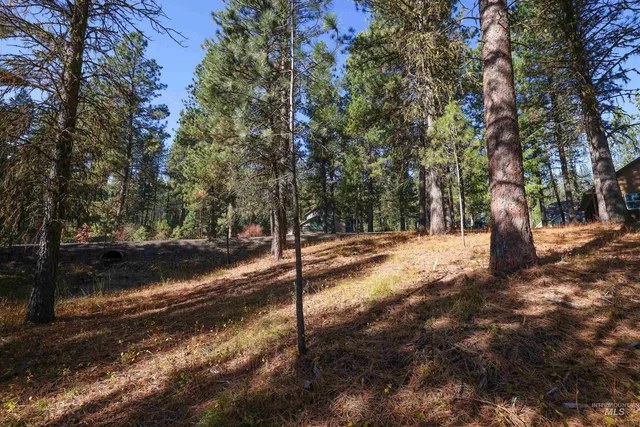 $77,900 | Tbd Columbine Drive, New Meadows, ID 83654