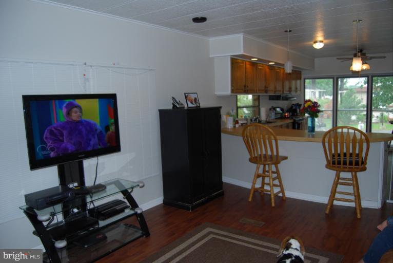 Interior (General)