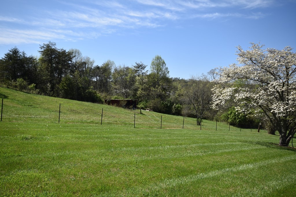 827 Hinkle Road Seymour, TN 37865 - Photo 20 of 24 Gallery Image 20