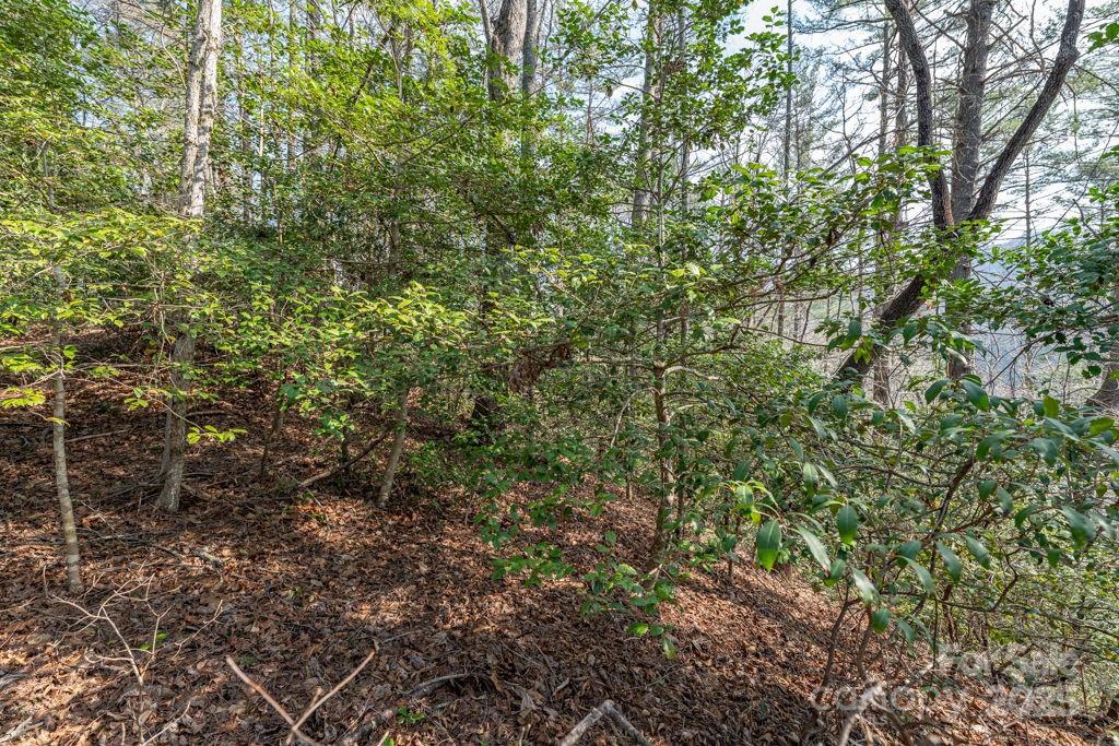 0 Wagon Ridge Road Ferguson, NC 28624 - Photo 31 of 36
