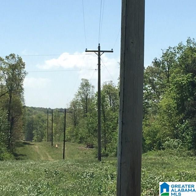 106 County Road, Unit 49836 Mentone, AL 35984 - Photo 13 of 17