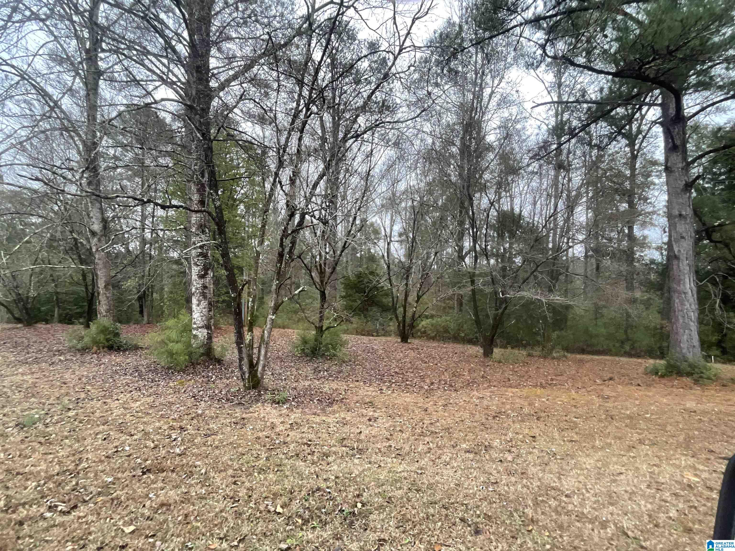 0 Friendship Circle Clanton, AL 35045 - Photo 1 of 4